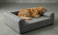 Relya™ Orthopedic Dog Bed